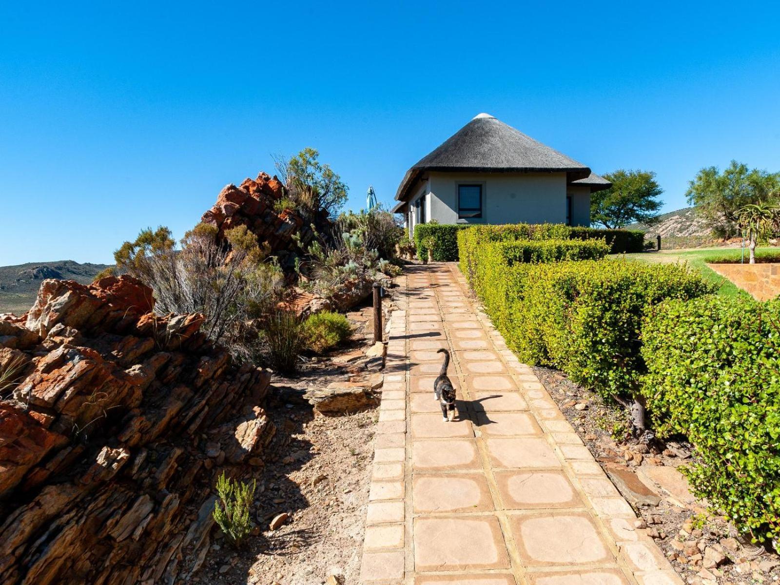 Rooilande Guest Farm Guest House Laingsburg 外观 照片