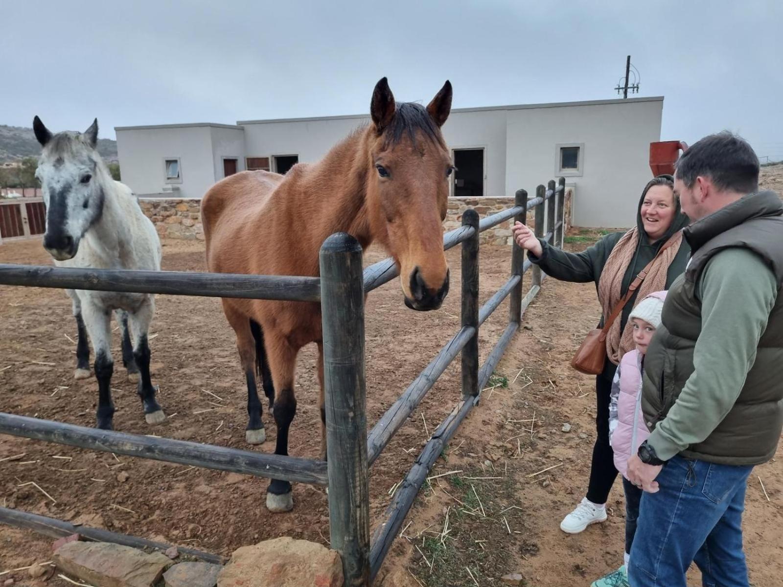Rooilande Guest Farm Guest House Laingsburg 外观 照片